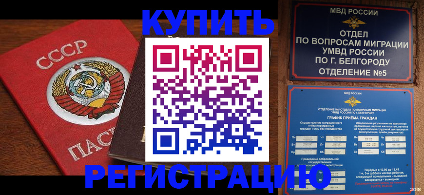 прописка для работы в Сосновом Бору